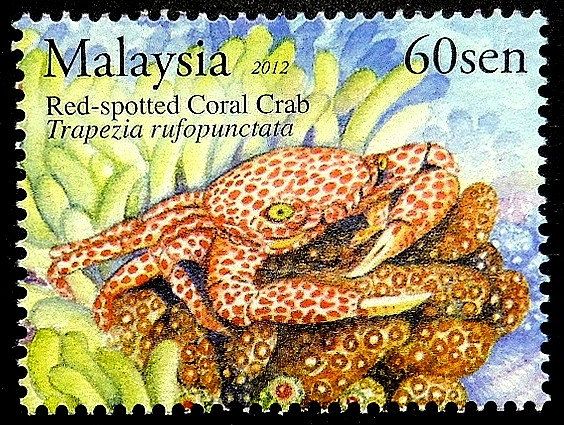 Package 1 Normal Postage